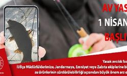 Balık avı yasağı 1 Nisan'da başlıyor