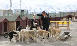 Türkücü Aydın Aydın, kahraman köpekler için klip yaptı