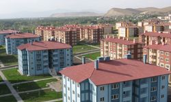Van Erciş'te icradan satılık iki katlı betonarme bina ve tek katlı briket ev