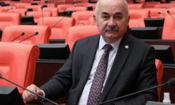 MHP'li Vahapoğlu: Usul hatasında çiftçinin günahı ne?