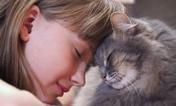 Kedi beslemenin şaşırtıcı faydaları!  Kedi beslemenin 4 inanılmaz faydası