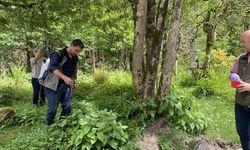 Kuruyan ormana 'biyolojik kontrol ajan'lı mücadele model oldu