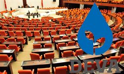 DEVA'dan grup iddialarıyla ilgili açıklama