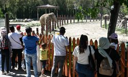 Bayramda tercih İzmir Doğal Yaşam Parkı