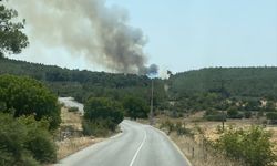 İzmir'de korkutan yangınlar! İki ilçeye müdahale sürüyor