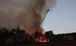 Orman yangınları, 40 kişinin ölümüne neden oldu