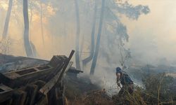 Rodos'taki orman yangını, yerleşim birimlerine ulaştı