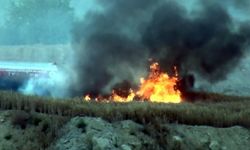 60 dönüm ekili buğday alev alev yandı