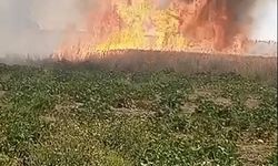 Afyonkarahisar'da tarım arazilerinde yangın