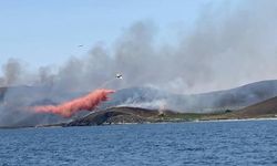 Avşa Adası'nda otluk arazide yangını