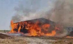 Çiftlikte çıkan yangında 33 büyükbaş öldü