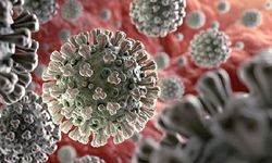 Dünyayı tehdit eden Marburg virüsü: Yaygın kanama görülebiliyor