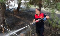 Edirne'de sanayi sitesindeki ağaçlık bölgede yangın