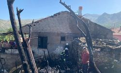 Ev yangınında 9 küçükbaş öldü