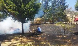 Gaziantep'te park yangını