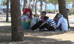İzmirliler sıcakta denize girdi, ağaçların gölgesinde serinledi