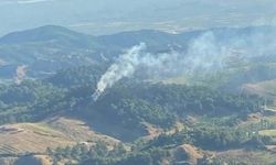 Turgutlu'da 2 dönüm orman yandı