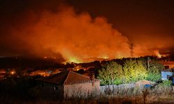 Orman yangınlarında 6 bin 900 hektar alan zarar gördü