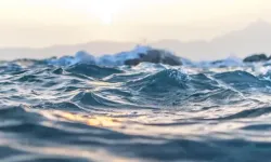 Korkutucu ve Şaşırtıcı Derin Deniz ve Okyanus Gerçekleri