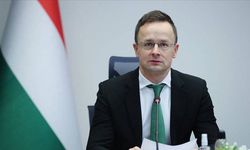 Macaristan'dan İsveç açıklaması