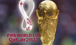 2022 Dünya Kupası'ndan Göz-Göz'e 17 bin dolar prim