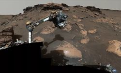 Mars'ta Yaşam mı Bulunuyor? Perseverance Gezgini, Kızıl Gezegende Çeşitli Organik Moleküller Kümesini Kazıyor