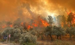 Sıcaklık artıyor: Yangınlar büyüyor