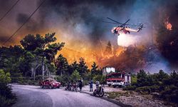Yunanistan'daki orman yangınları hala kontrol altına alınamadı