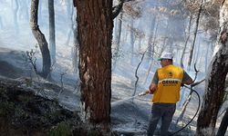 Afyonkarahisar'da çıkan orman yangınına müdahale ediliyor