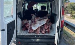 Aydın’da ele geçirilen 300 kilogram kaçak et imha edildi