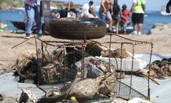 Bodrum'da deniz dibi temizliği Küçükbük Koyu'nda sürdü