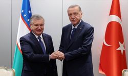 Erdoğan, Mirziyoyev ile görüştü