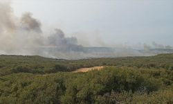 Gelibolu Yarımadası'nda makilik alanda yangın çıktı