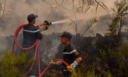 Orman yangınını söndürme çalışmaları sürüyor