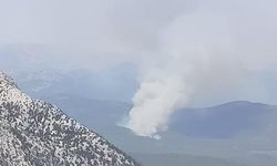 Antalya'da orman yangını 
