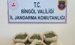 Bingöl’de çalılıkların arasına gizlenmiş 3 kilo uyuşturucu ele geçirildi