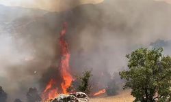 Bingöl’deki orman yangınında 2'nci gün