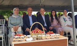 Adana Pozantı'da 'Çilek Festivali' konser coşkusu