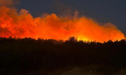 Diyarbakır’da orman yangını