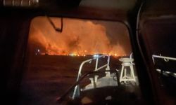 Havai’deki orman yangınlarında ölü sayısı 99’a yükseldi
