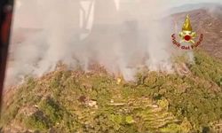 İtalya’da iki bölgede orman yangını
