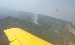 İzmir Menderes'te orman yangını!