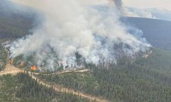 Kanada’nın Batı Kelowna bölgesinde 50 yapı yangında yıkıldı