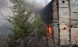 Kilis'te çıkan orman yangını söndürüldü