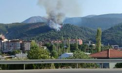 Manisa-Soma'da orman yangını
