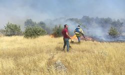 Orman yangınında 10 hektar alan zarar gördü