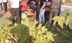 Refüjdeki ağaca çarpan otomobildeki 2 kişi yaralandı