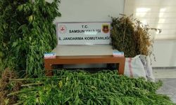 Samsun'da uyuşturucuya iki gözaltı
