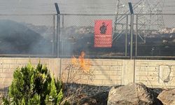 Şanlıurfa'da ot yangını askeri bölgeye sıçradı