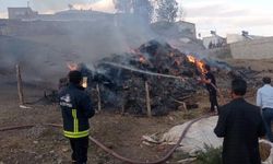 Saray'da 8000 bağ ot yandı